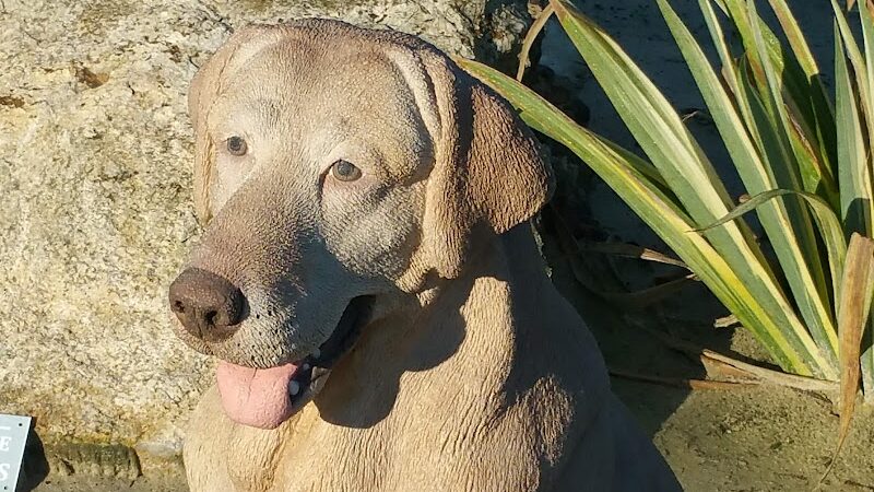 War Dog Memorial - Budd Lake, NJ