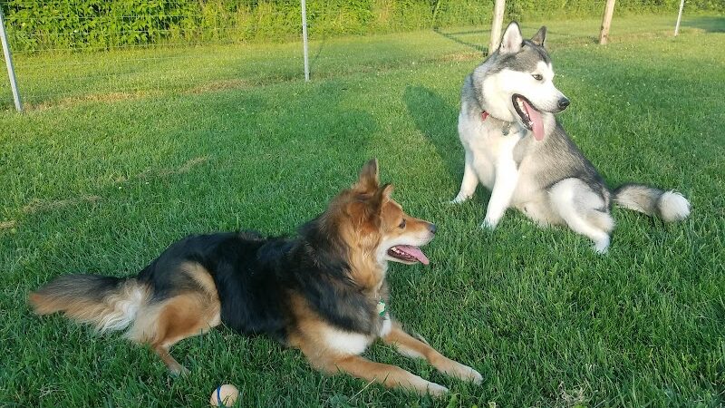 Happy Tails Dog Park - Buffalo Grove - Buffalo Grove, IL