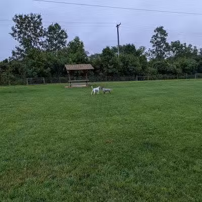 Happy Tails Dog Park - Buffalo Grove - Buffalo Grove, IL