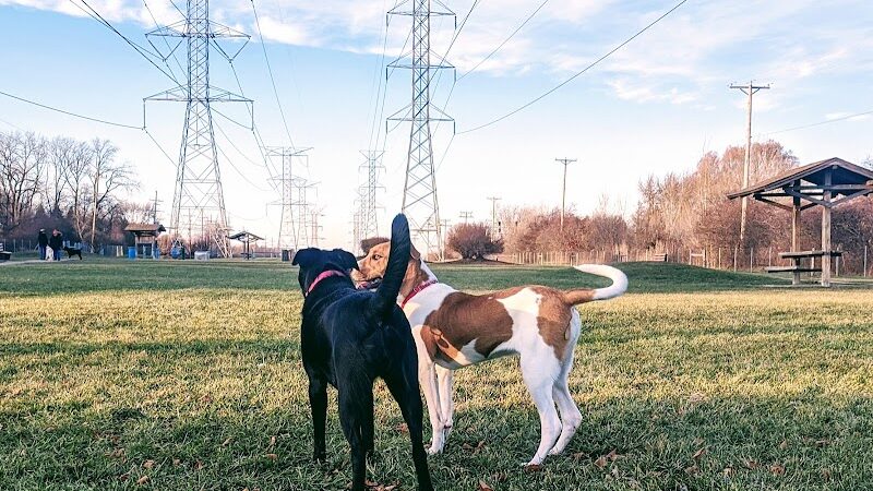 Happy Tails Dog Park - Buffalo Grove - Buffalo Grove, IL