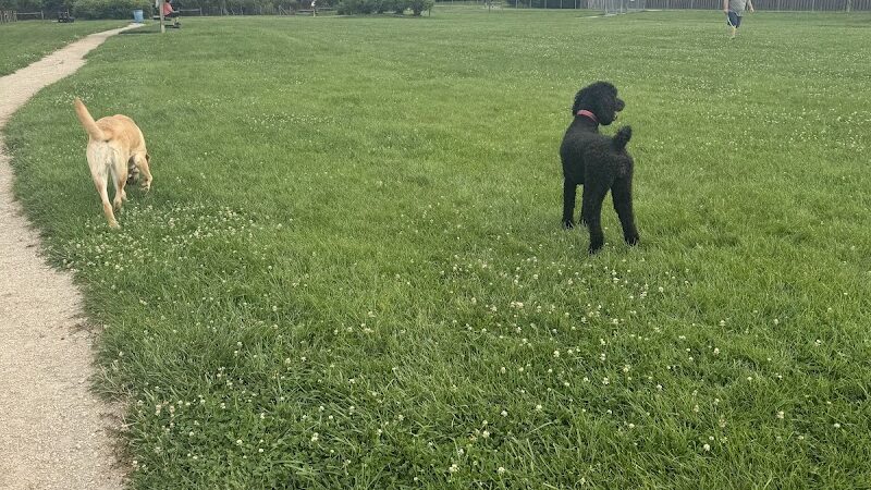 Happy Tails Dog Park - Buffalo Grove - Buffalo Grove, IL