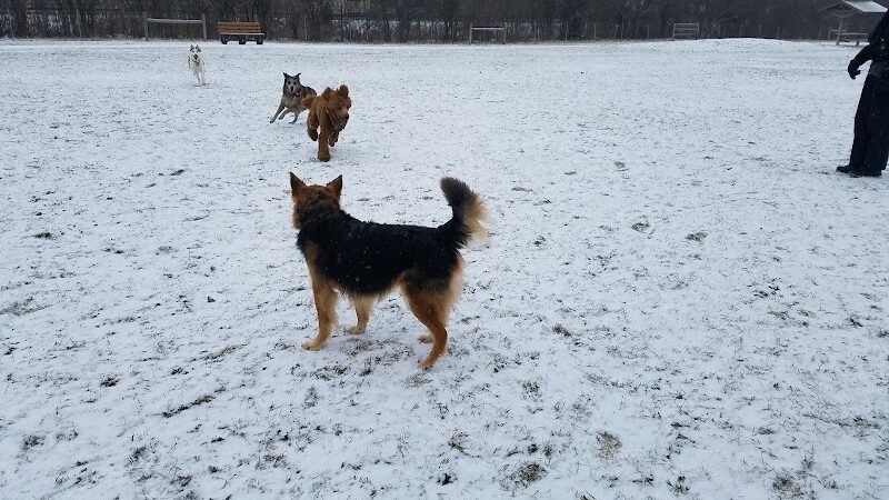 Happy Tails Dog Park - Buffalo Grove - Buffalo Grove, IL