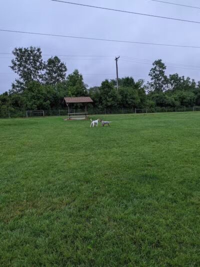 Happy Tails Dog Park - Buffalo Grove - Buffalo Grove, IL