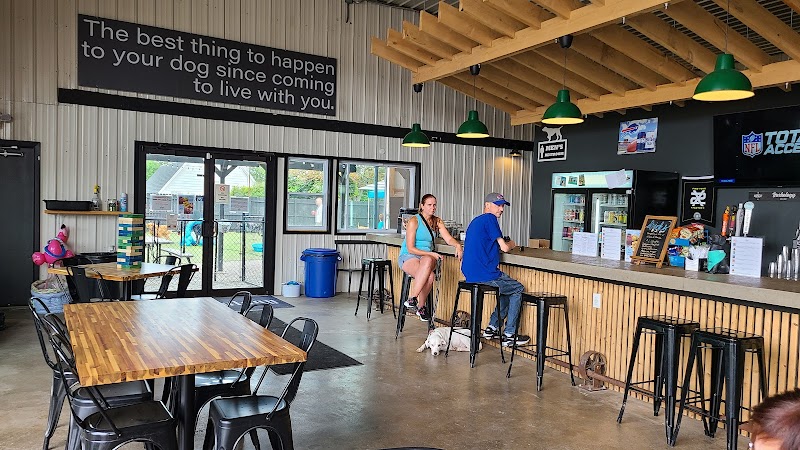 Barkology - Buffalo, NY