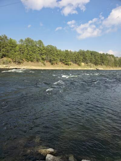 Sam Forse Collins Recreation Area - Burkeville, TX