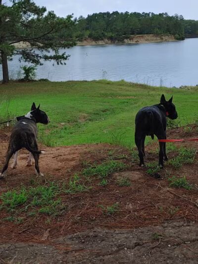Sam Forse Collins Recreation Area - Burkeville, TX