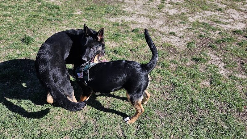 Burlington Regional Dog Park - Burlington, IA
