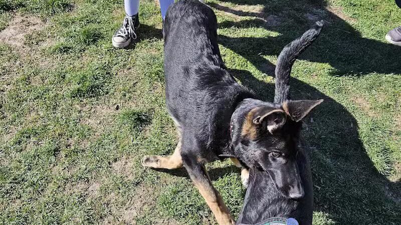 Burlington Regional Dog Park - Burlington, IA