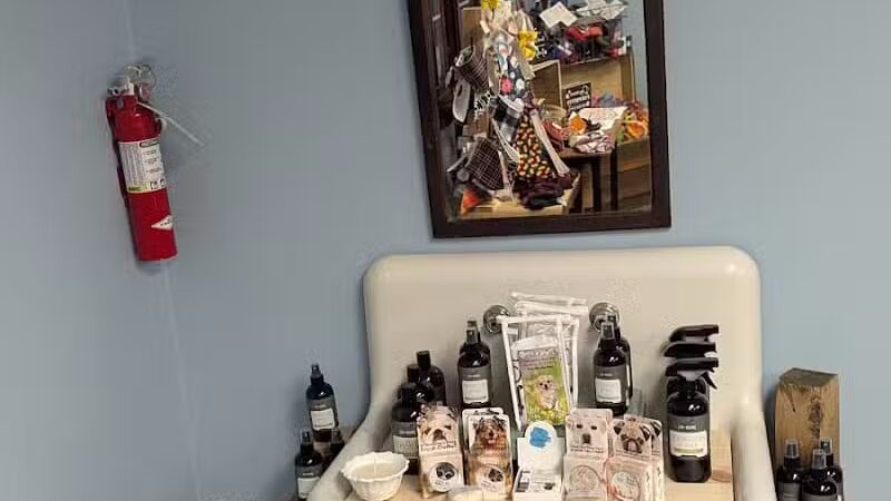 The PARK Indoor Dog Park - Burlington, IA