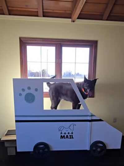 The PARK Indoor Dog Park - Burlington, IA