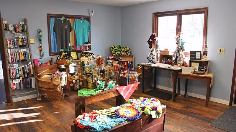 The PARK Indoor Dog Park - Burlington, IA