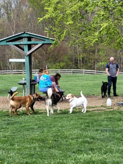 Boone County Dog Park - Burlington, KY