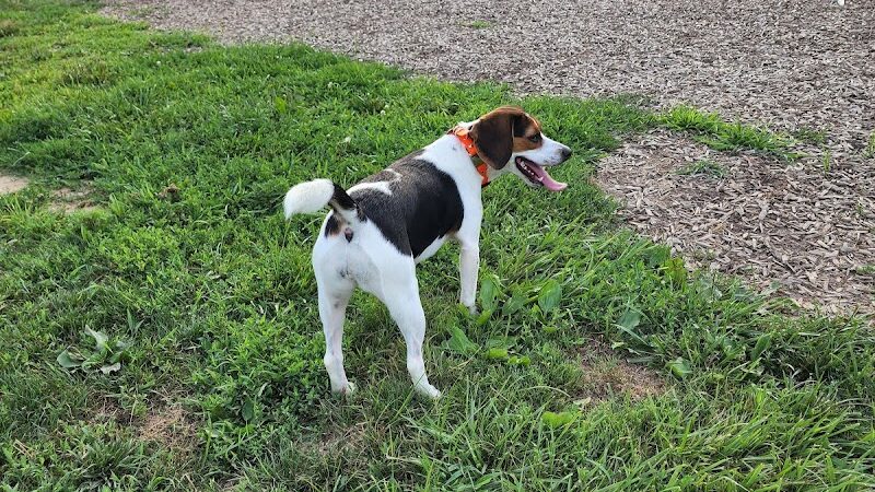 Boone County Dog Park - Burlington, KY