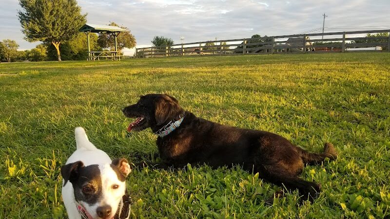 Boone County Dog Park - Burlington, KY