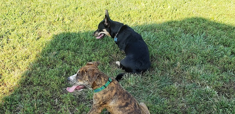 Boone County Dog Park - Burlington, KY