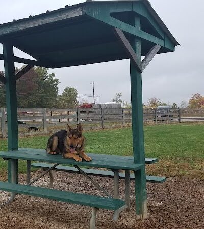 Boone County Dog Park - Burlington, KY
