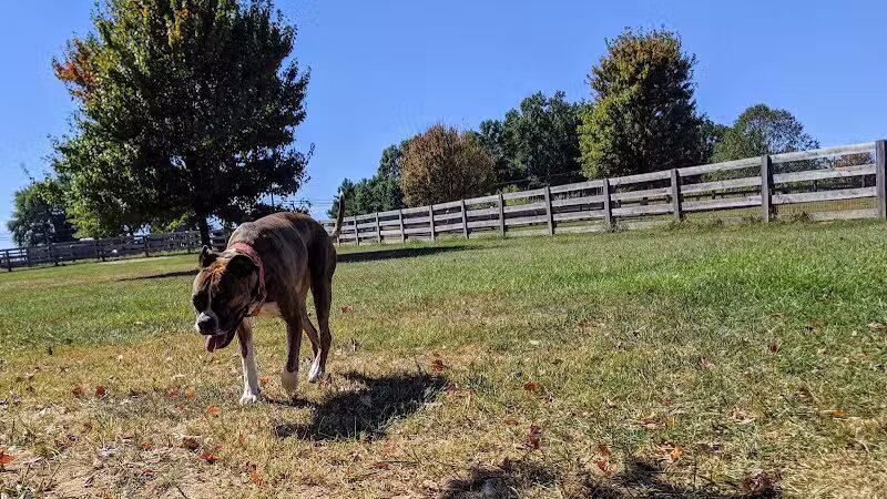 Boone County Dog Park - Burlington, KY