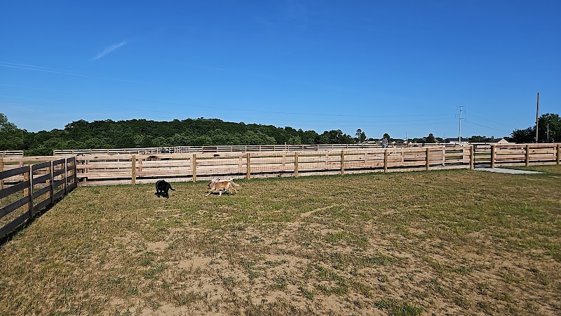 Idlewild Dog Park - Burlington, KY