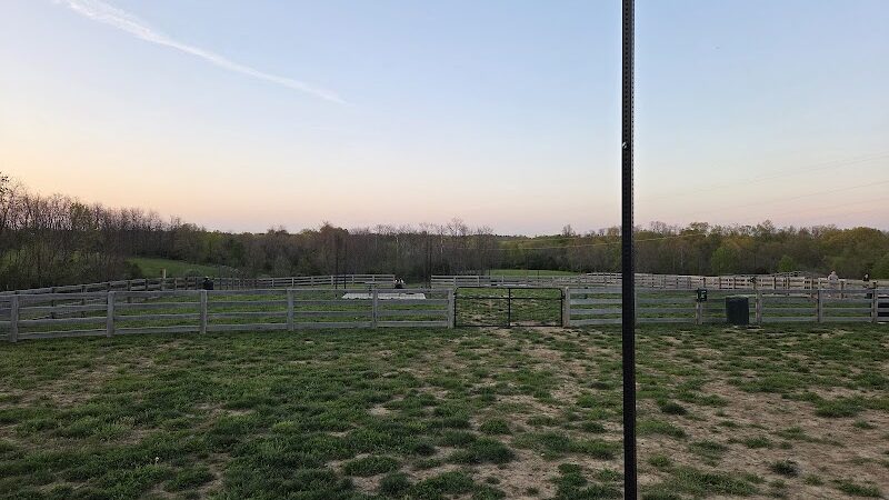 Idlewild Dog Park - Burlington, KY