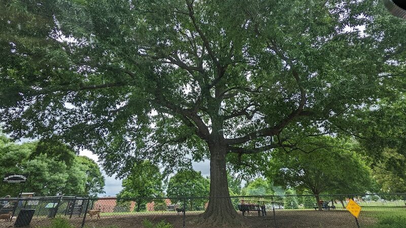 Jiggs Askew Memorial Park - Burlington, NC