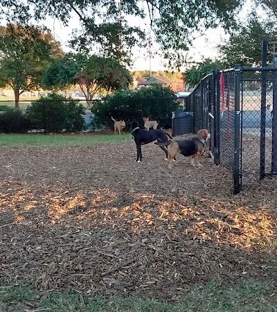 Jiggs Askew Memorial Park - Burlington, NC