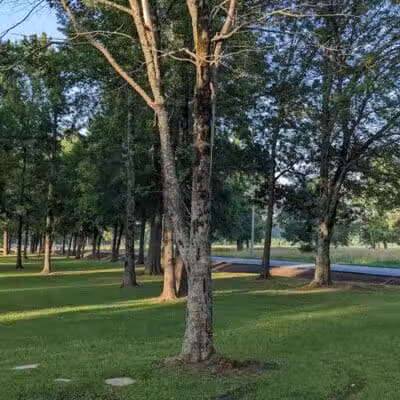 Kerr Station Park - Cabot, AR