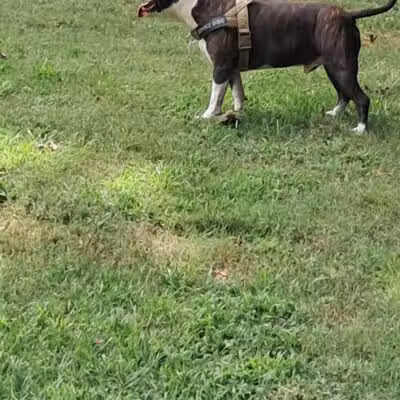 Kerr Station Park - Cabot, AR