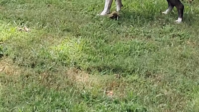 Kerr Station Park - Cabot, AR
