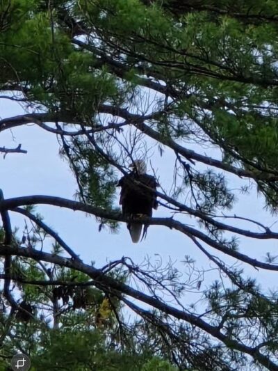 Angelo Canna Town Park - Cairo, NY