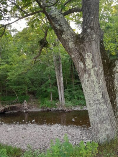 Angelo Canna Town Park - Cairo, NY