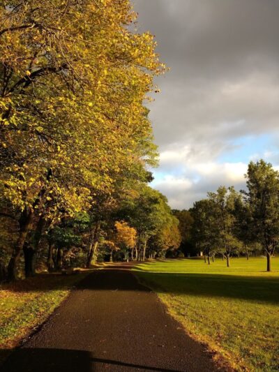 Cairo Dog Park - Cairo, NY