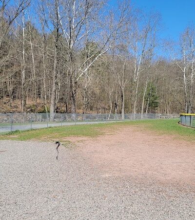Cairo Dog Park - Cairo, NY