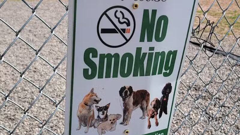 Cairo Dog Park - Cairo, NY