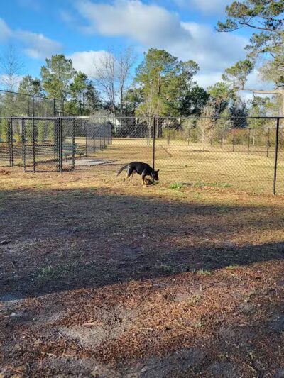 Dog Park and Tennis Court - Calabash, NC