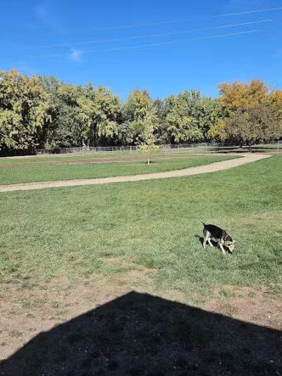 Centennial Dog Park