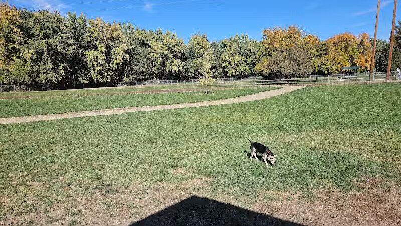 Centennial Dog Park