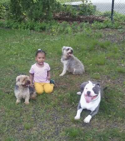 Laurelton West Playground - Cambria Heights, NY
