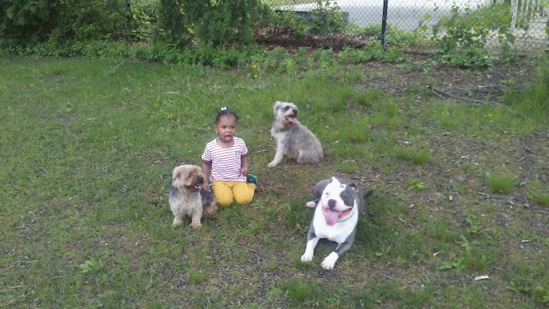 Laurelton West Playground - Cambria Heights, NY
