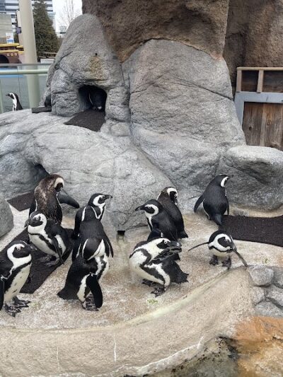 Wiggins Waterfront Park - Camden, NJ