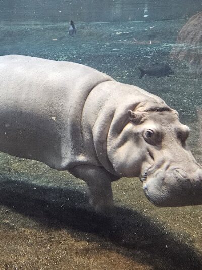 Wiggins Waterfront Park - Camden, NJ