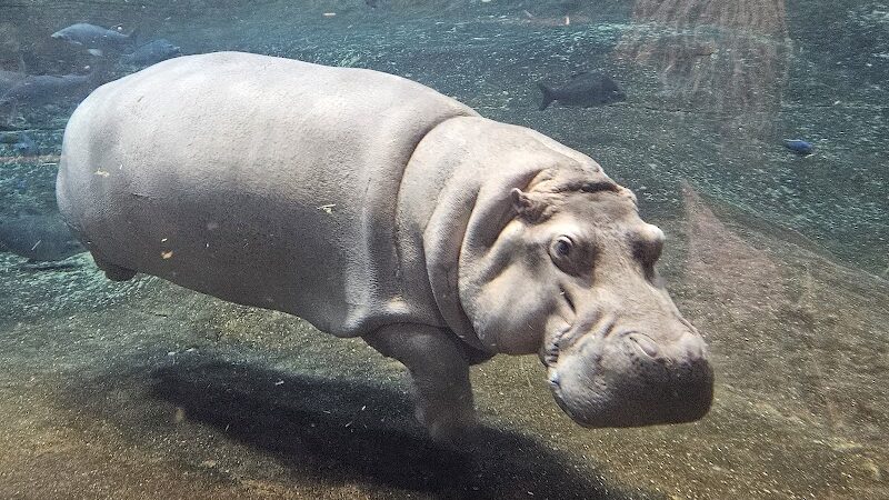 Wiggins Waterfront Park - Camden, NJ