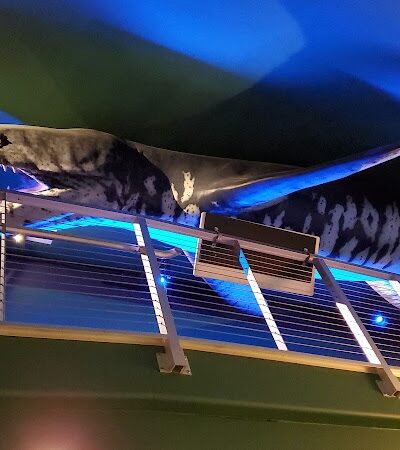 Wiggins Waterfront Park - Camden, NJ