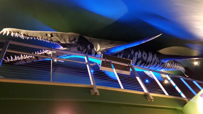 Wiggins Waterfront Park - Camden, NJ