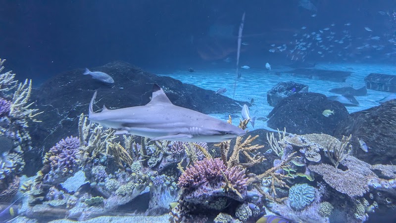 Wiggins Waterfront Park - Camden, NJ