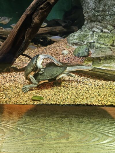 Wiggins Waterfront Park - Camden, NJ