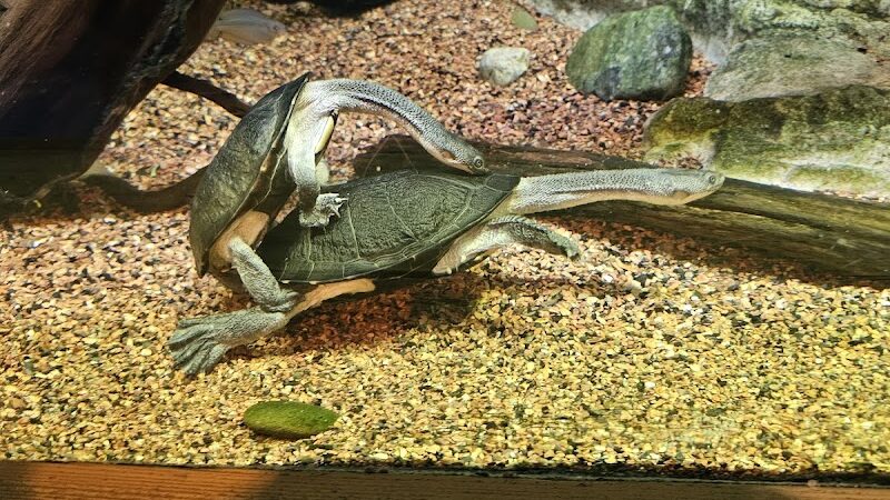 Wiggins Waterfront Park - Camden, NJ