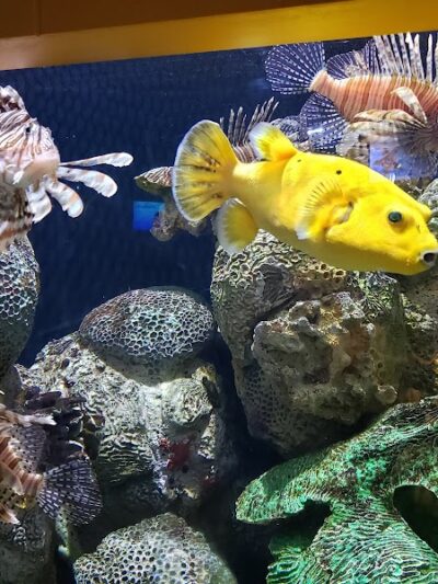 Wiggins Waterfront Park - Camden, NJ