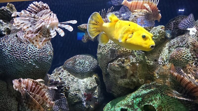 Wiggins Waterfront Park - Camden, NJ