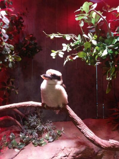 Wiggins Waterfront Park - Camden, NJ