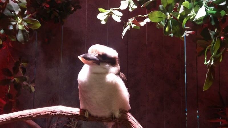 Wiggins Waterfront Park - Camden, NJ